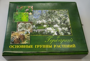 Наглядные пособия биология