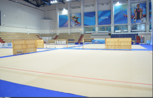 Ковры для художественной гимнастики