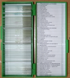 01_file_01.png